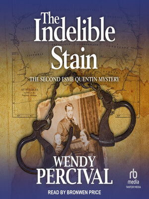 cover image of The Indelible Stain
